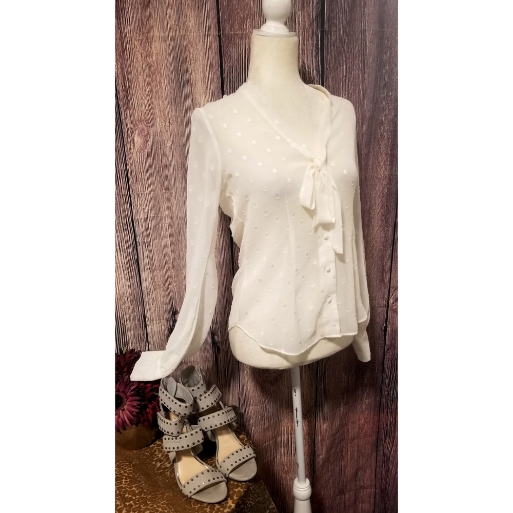 Express Sheer Button Down Blouse  Sz S